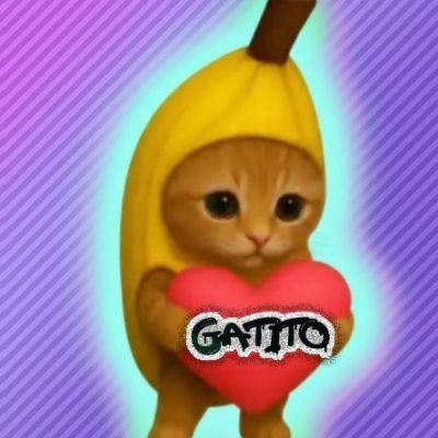 Gatito