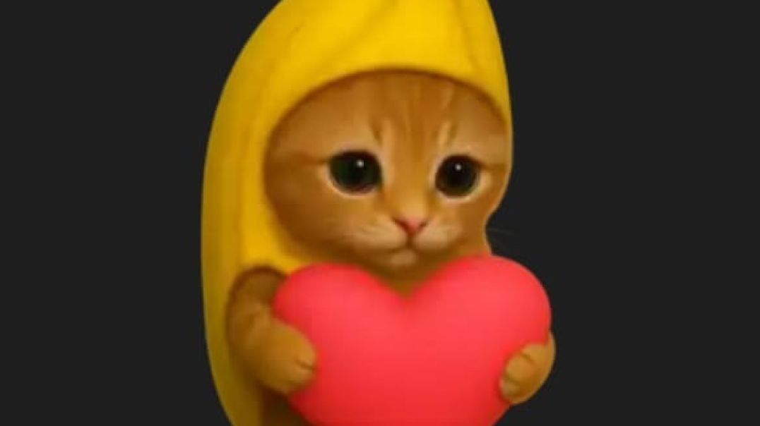 #GATITO #MIAU  #VIRAL #MIAU